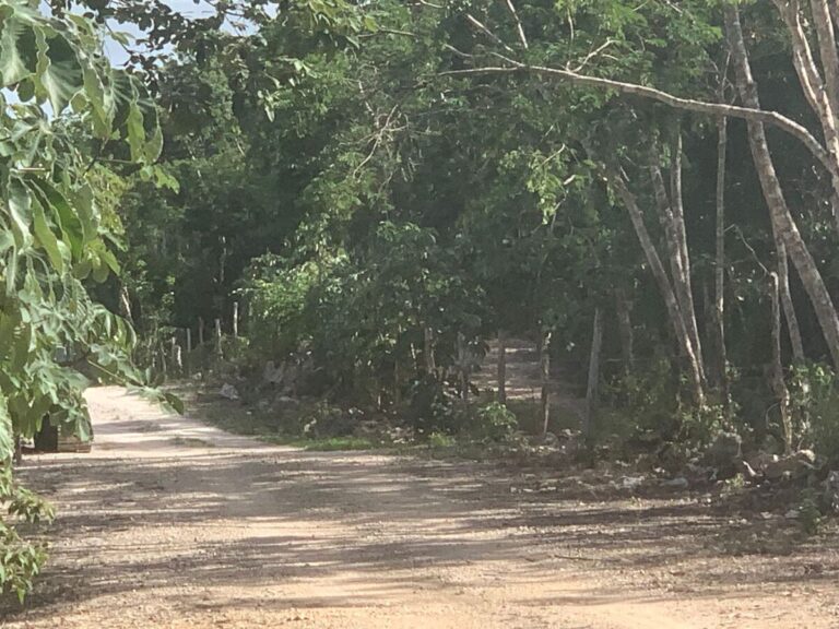 terrenos en tulum sin enganche